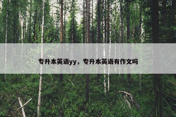专升本英语yy，专升本英语有作文吗