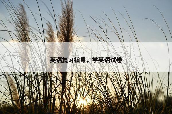 英语复习指导，学英语试卷