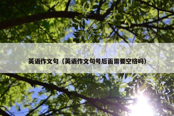 英语作文句（英语作文句号后面需要空格吗）