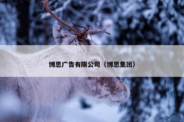 博思广告有限公司（博思集团）