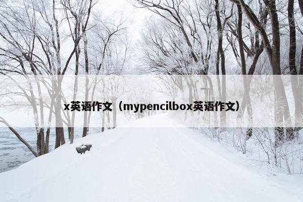 x英语作文（mypencilbox英语作文）