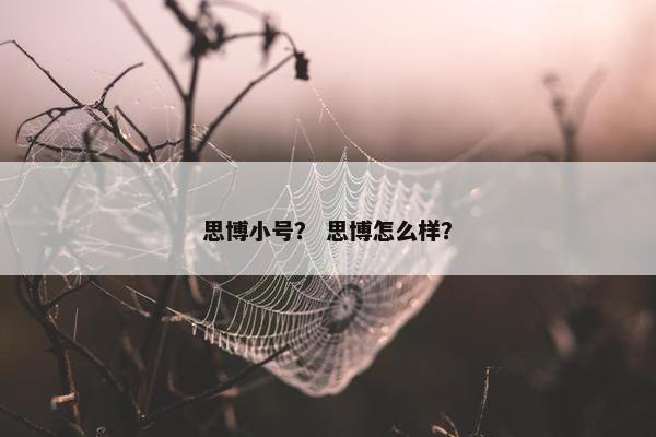 思博小号？ 思博怎么样？