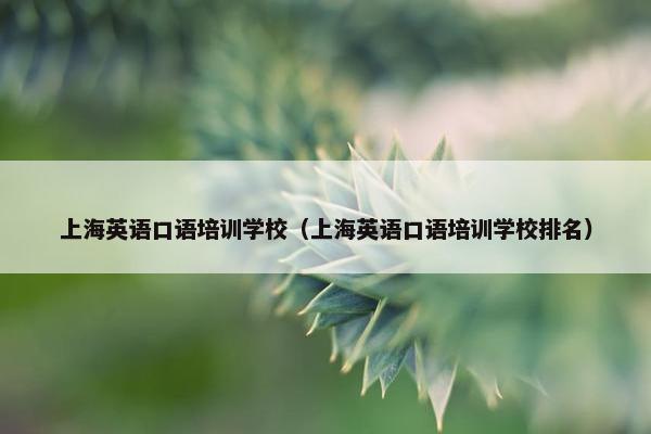 上海英语口语培训学校（上海英语口语培训学校排名）