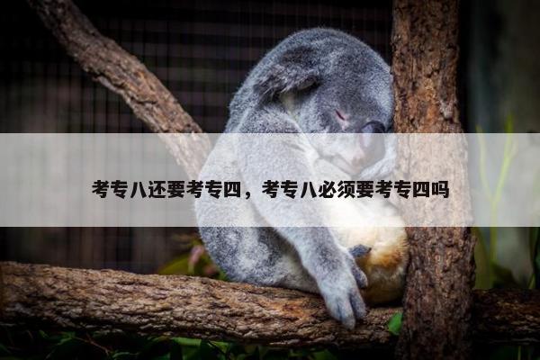 考专八还要考专四，考专八必须要考专四吗
