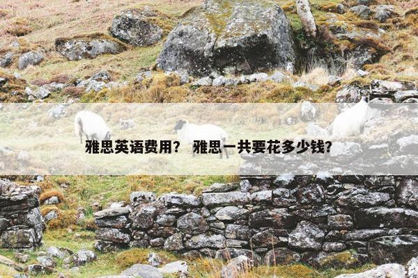 雅思英语费用？ 雅思一共要花多少钱？