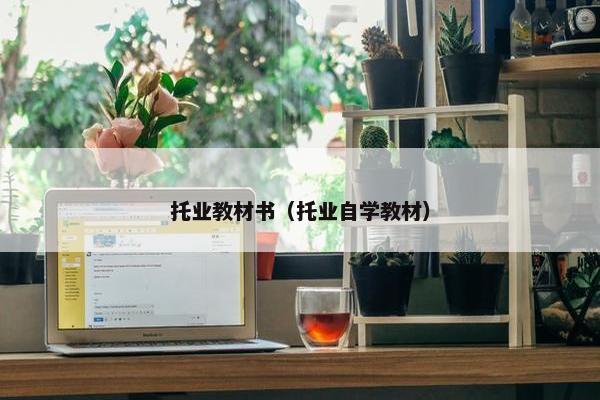 托业教材书（托业自学教材）