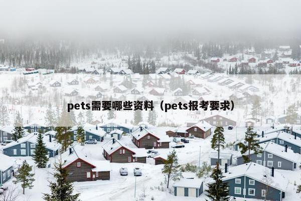 pets需要哪些资料（pets报考要求）