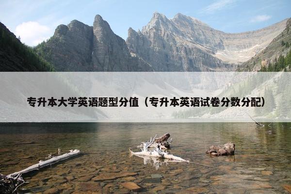 专升本大学英语题型分值（专升本英语试卷分数分配）
