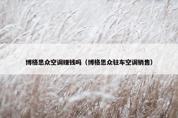 博格思众空调赚钱吗（博格思众驻车空调销售）