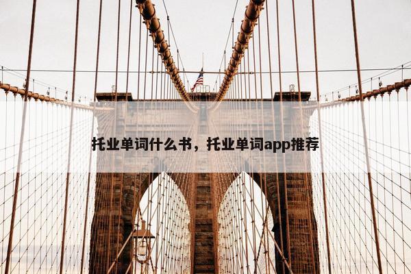 托业单词什么书，托业单词app推荐