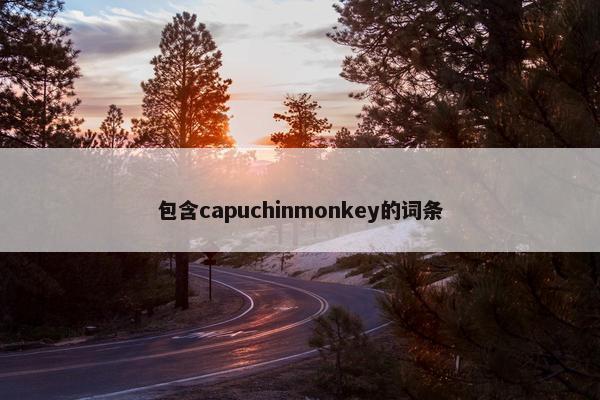 包含capuchinmonkey的词条
