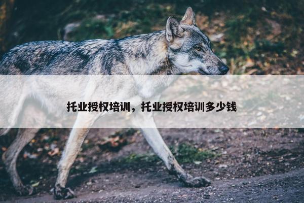托业授权培训，托业授权培训多少钱