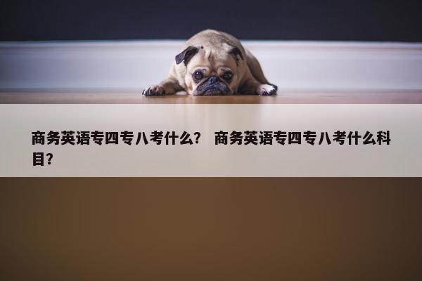 商务英语专四专八考什么？ 商务英语专四专八考什么科目？