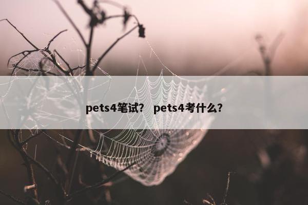 pets4笔试？ pets4考什么？
