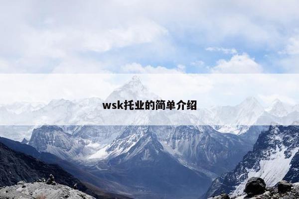 wsk托业的简单介绍