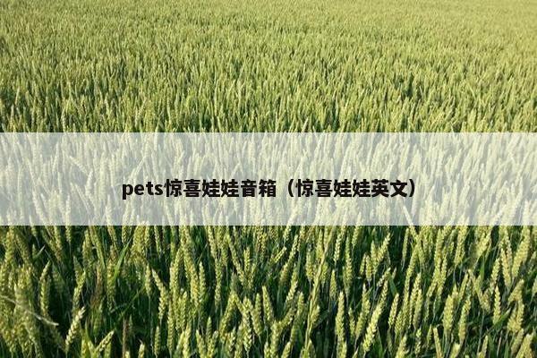 pets惊喜娃娃音箱（惊喜娃娃英文）