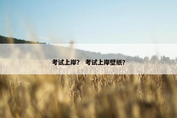考试上岸？ 考试上岸壁纸？