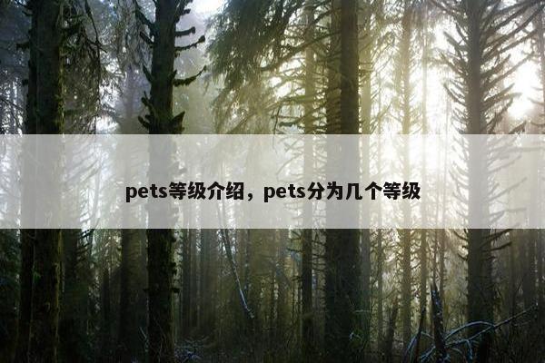 pets等级介绍，pets分为几个等级