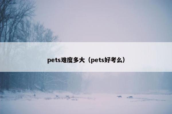 pets难度多大（pets好考么）