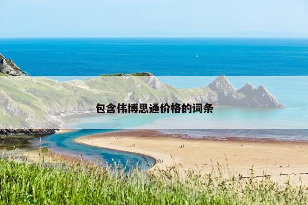 包含伟博思通价格的词条