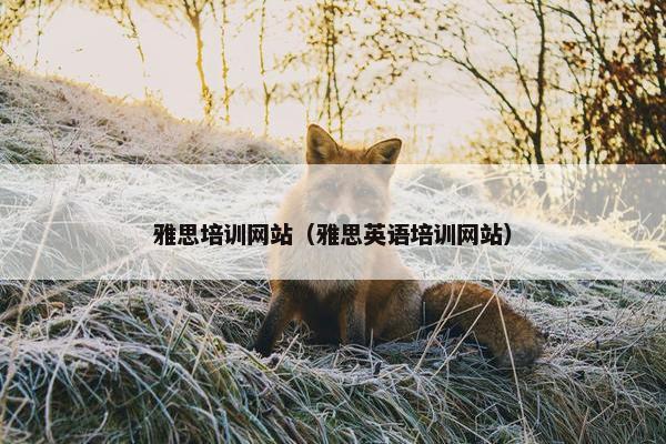 雅思培训网站（雅思英语培训网站）