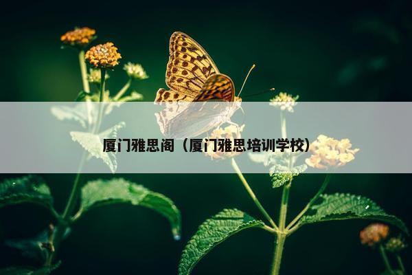 厦门雅思阁（厦门雅思培训学校）