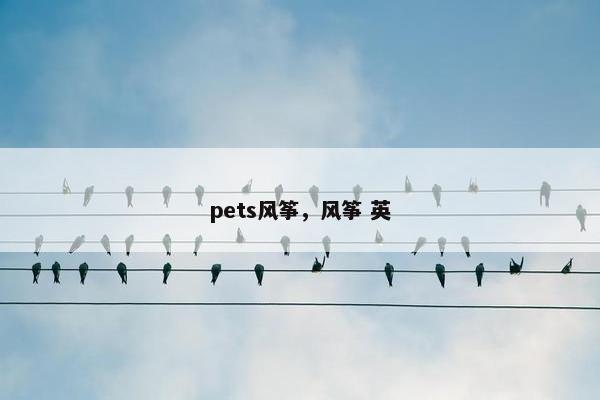 pets风筝，风筝 英
