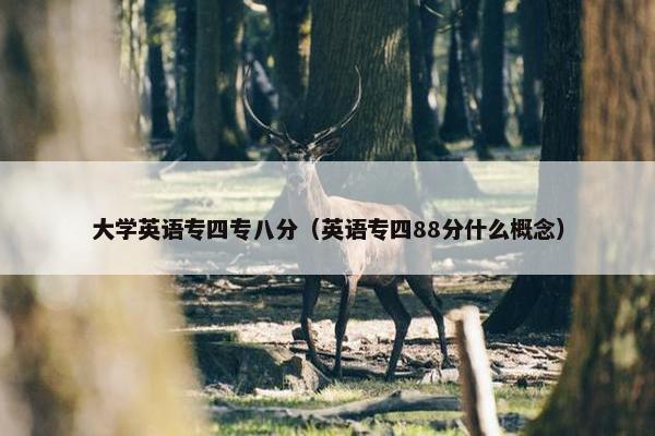 大学英语专四专八分（英语专四88分什么概念）