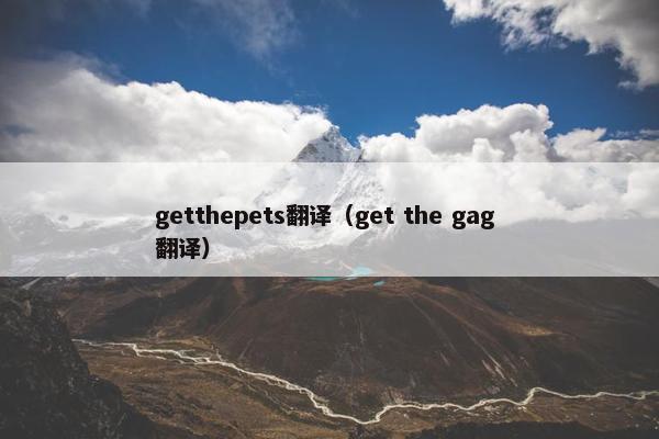 getthepets翻译（get the gag 翻译）