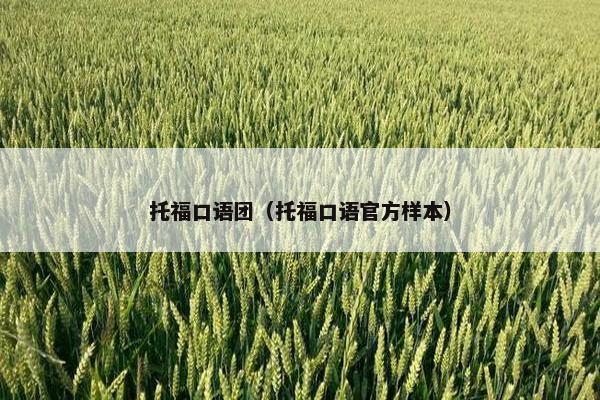 托福口语团（托福口语官方样本）
