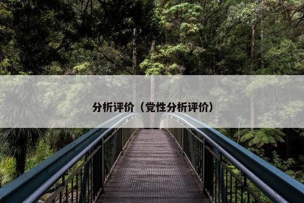 分析评价（党性分析评价）
