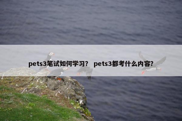 pets3笔试如何学习？ pets3都考什么内容？