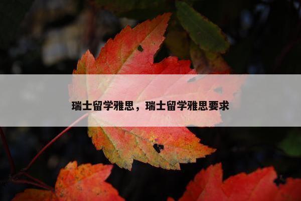 瑞士留学雅思，瑞士留学雅思要求