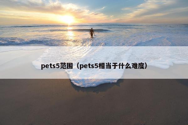 pets5范围（pets5相当于什么难度）