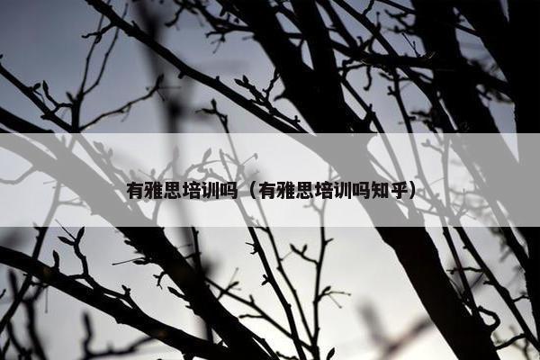 有雅思培训吗（有雅思培训吗知乎）