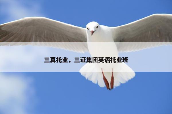 三真托业，三证集团英语托业班