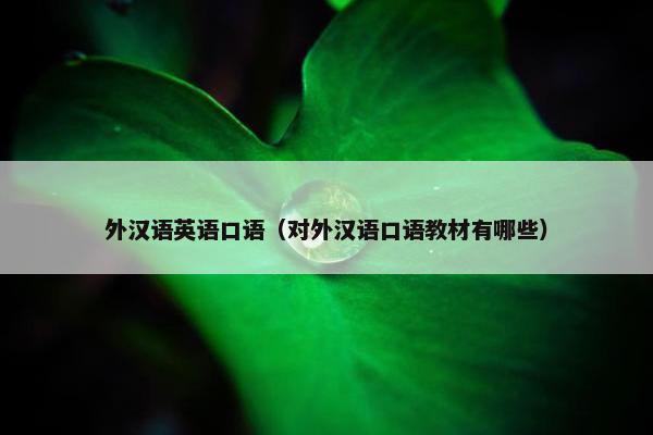 外汉语英语口语（对外汉语口语教材有哪些）