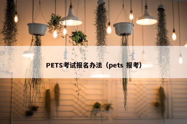 PETS考试报名办法（pets 报考）
