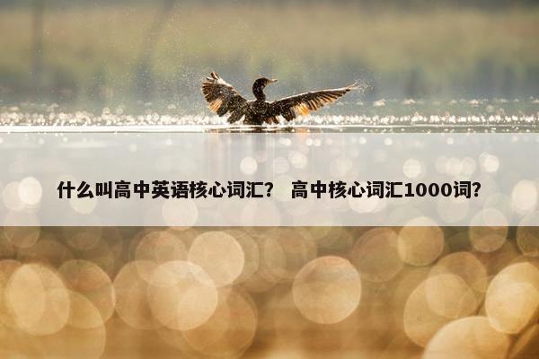 什么叫高中英语核心词汇？ 高中核心词汇1000词？