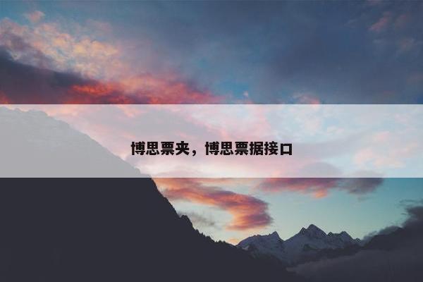 博思票夹，博思票据接口