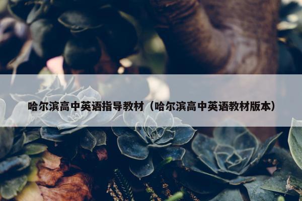 哈尔滨高中英语指导教材（哈尔滨高中英语教材版本）