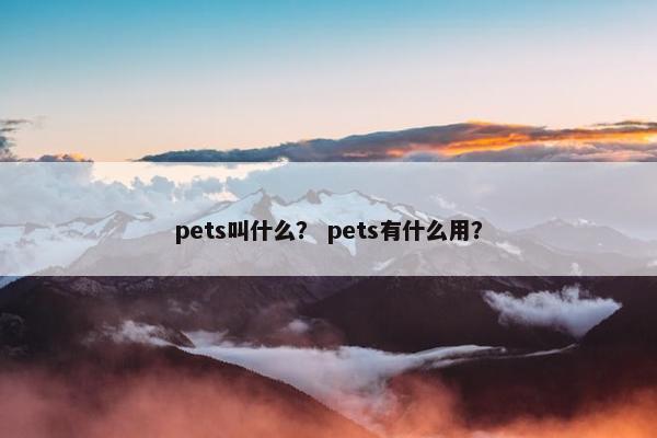 pets叫什么？ pets有什么用？