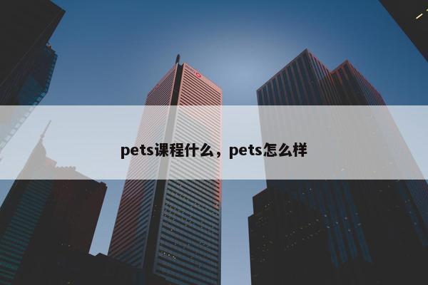 pets课程什么，pets怎么样