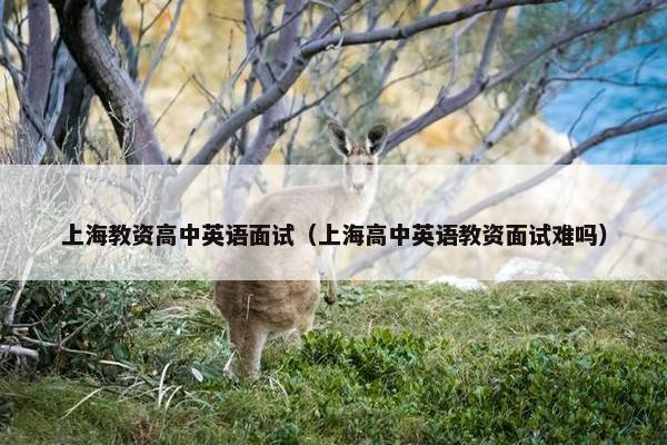 上海教资高中英语面试（上海高中英语教资面试难吗）