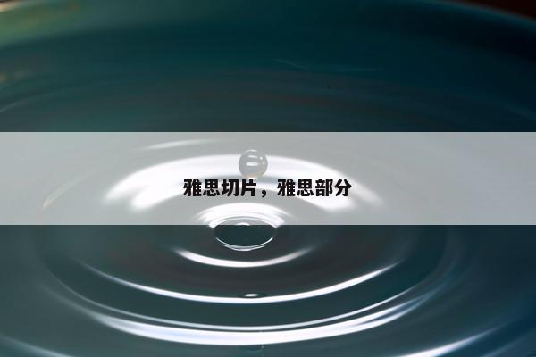 雅思切片，雅思部分