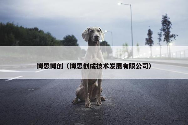 博思博创（博思创成技术发展有限公司）