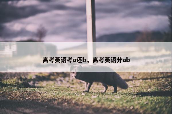 高考英语考a还b，高考英语分ab