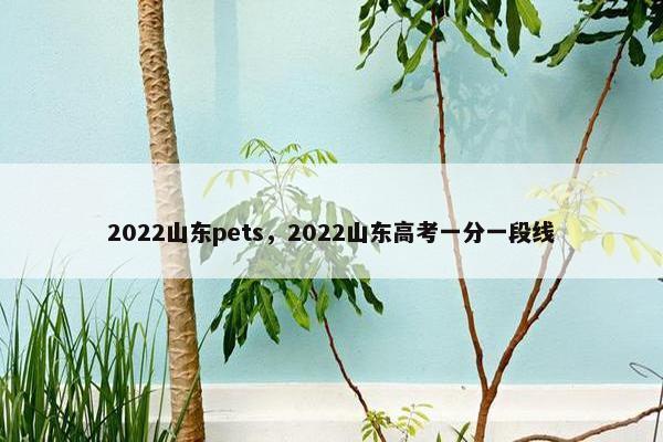 2022山东pets，2022山东高考一分一段线
