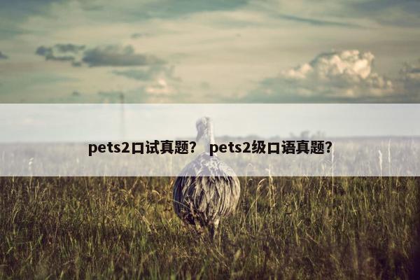 pets2口试真题？ pets2级口语真题？