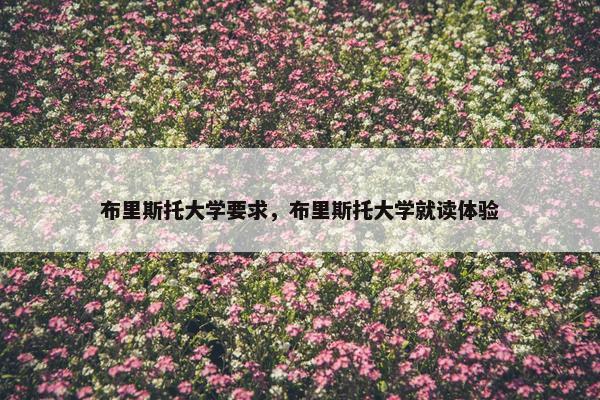 布里斯托大学要求，布里斯托大学就读体验